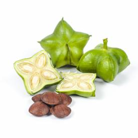 Sacha Inchi oil, organic, virgin